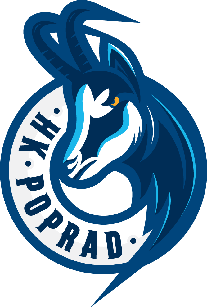 HK Poprad 2016-Pres Primary Logo iron on transfers for T-shirts